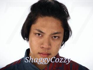 ShaggyCozzy