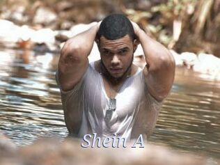 Shein_A