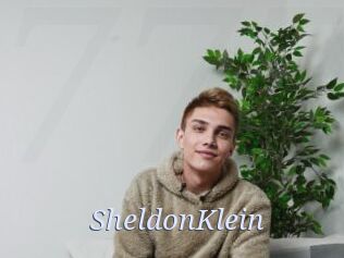 SheldonKlein