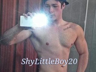 ShyLittleBoy20