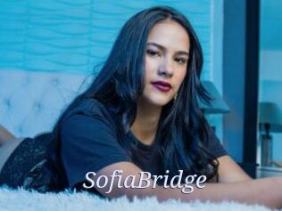 SofiaBridge