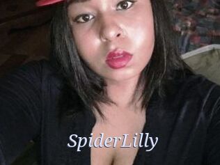 SpiderLilly