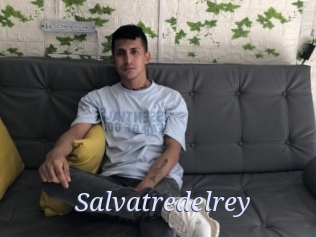 Salvatredelrey