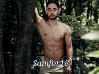 samfor18 777 Erotik Chat