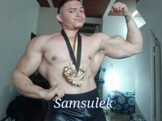 Samsulek