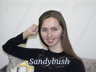 Sandybush