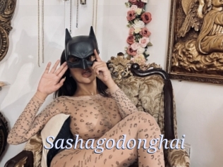 Sashagodonghai