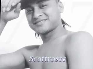 Scottrosee