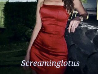 Screaminglotus