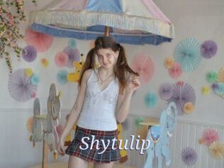 shytulip 777 Erotik Chat