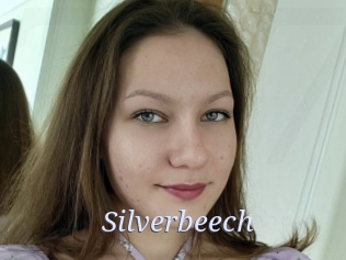 Silverbeech