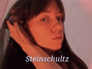 Steinschultz