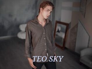 TEO_SKY