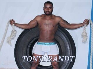 TONYBRANDT