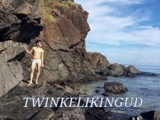 TWINKELIKINGUD