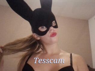 Tesscam