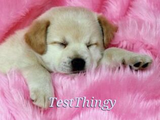 TestThingy