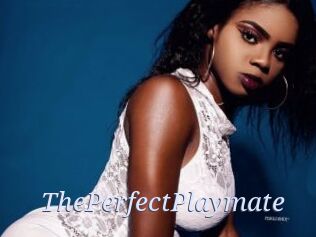 ThePerfectPlaymate