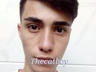 Thecatboy