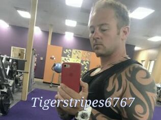 Tigerstripes6767
