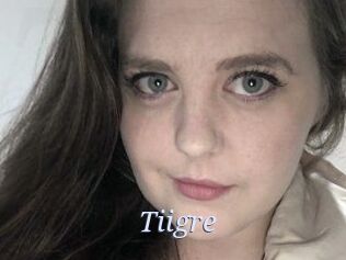 Tiigre_