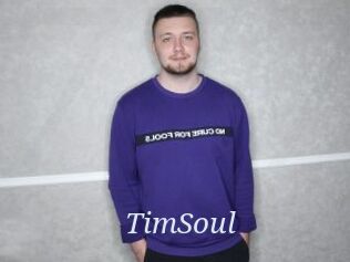 TimSoul