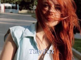 TinyFox