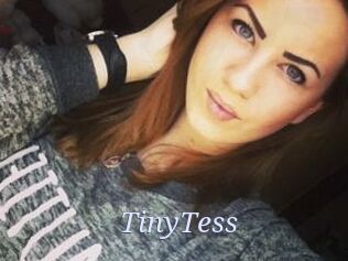TinyTess