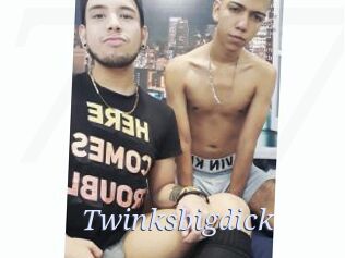 Twinksbigdick