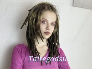 Taitegodsil