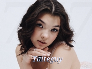 Taiteguy