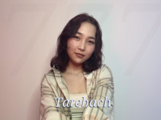 Tatebach