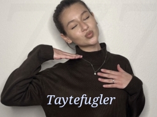 taytefugler 777 Erotik Chat