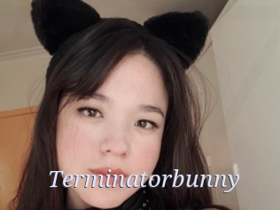 Terminatorbunny