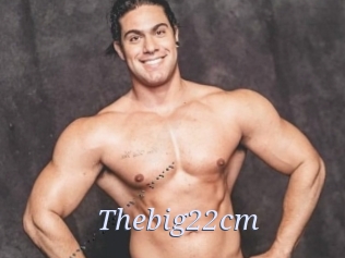 Thebig22cm