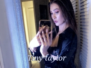 Tiny_taylor