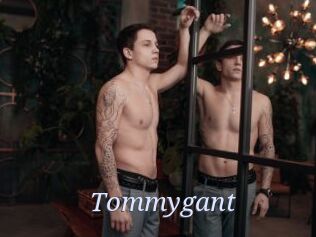 Tommygant