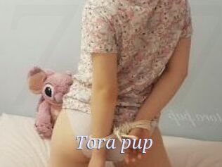 Tora_pup