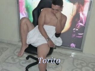 Torito