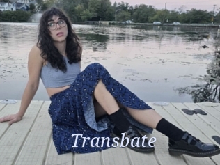 transbate 777 Erotik Chat