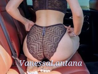 VanessaLantana