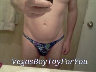 VegasBoyToyForYou