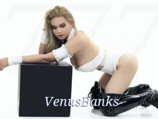 VenusBanks