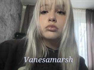 Vanesamarsh