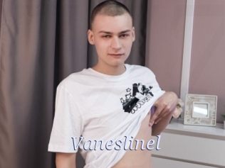 Vaneslinel