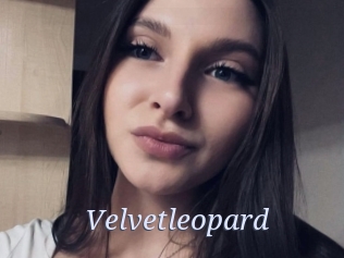 Velvetleopard