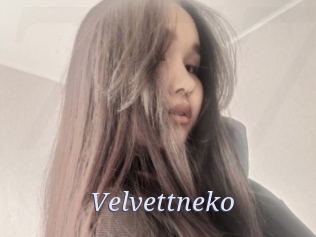 velvettneko 777 Erotik Chat