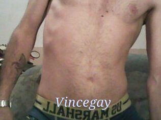 Vincegay
