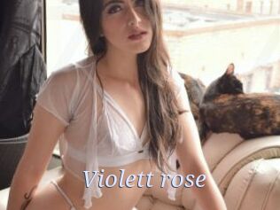 Violett_rose