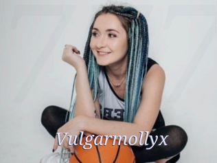 Vulgarmollyx